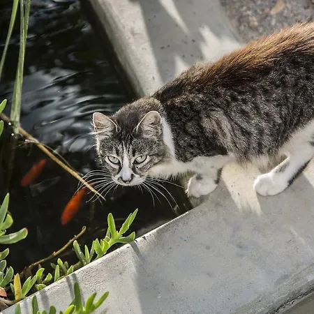 Elisa * Keramotá